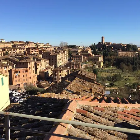The Wave * Siena